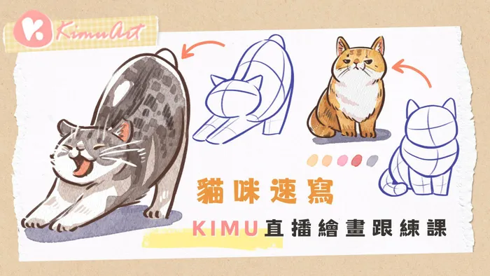 【直播回放】IPAD繪畫跟練課-貓咪速寫
