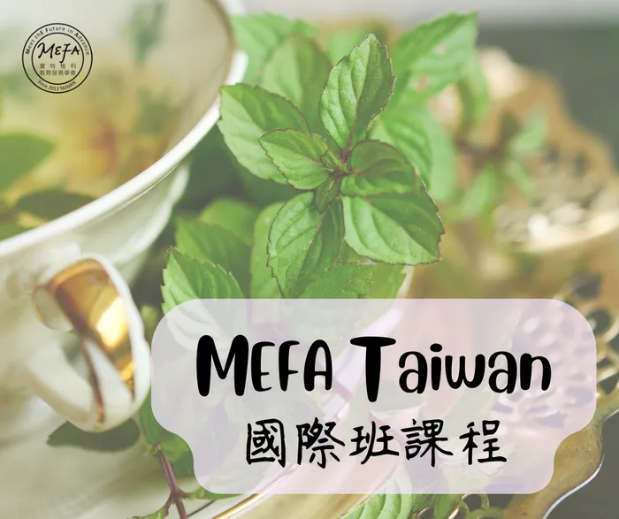 MEFA Taiwan© 的國際班課程，優勢在哪裡？